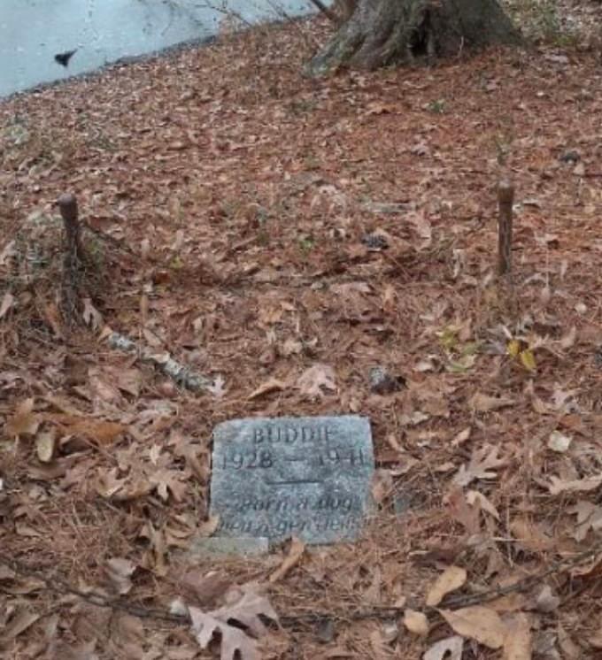 Man Breaks Down In Tears After Seeing What’s Written On Grave In The Middle Of The Woods.