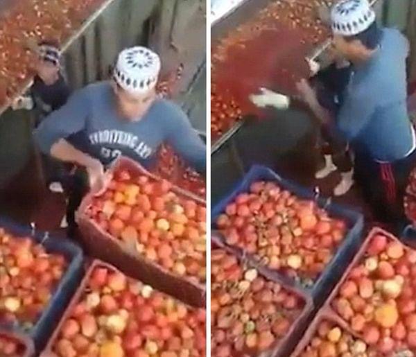 Video Goes Viral Of Egyptian Factory Making Ketchup, Heinz Does ‘Damage Control’.