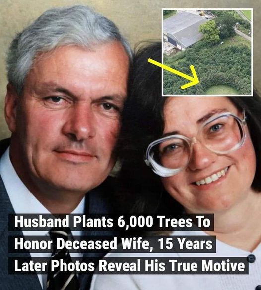 This man planted over 6,000 trees to honor his late wife. For 15 years, the husband’s secret was hidden until a pilot in a plane flew over and couldn’t believe what he saw. Now, aerial photos have revealed the man’s true motivation and you won’t believe it until you see yourself.