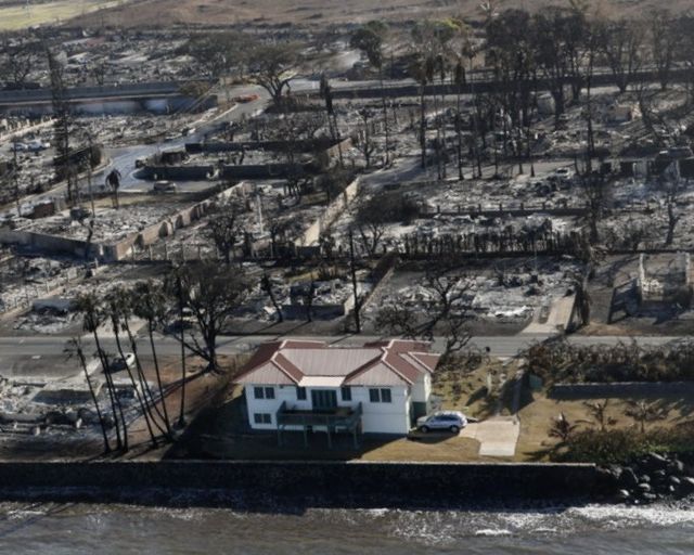 Homeowners Reveal Unexpected Reason Why Their House Survived The Hawaii Fires