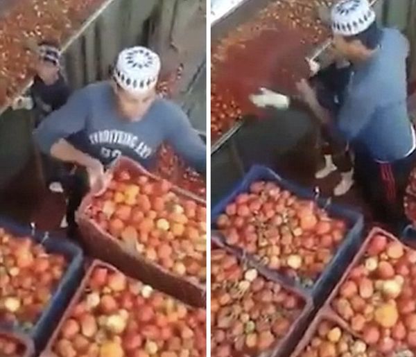 Video Goes Viral Of Egyptian Factory Making Ketchup, Heinz Does ‘Damage Control’