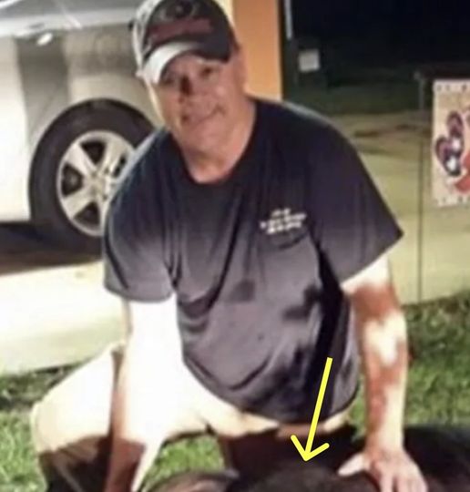 Man Shoots 820-Pound Creature In His Front Yard, Quickly Realizes What It Is.