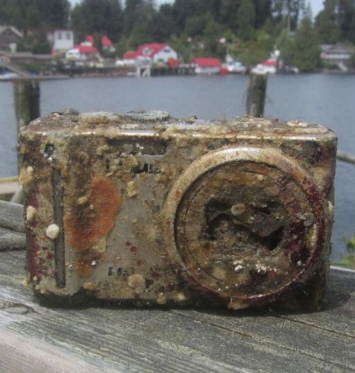 Diver Develops Film From Camera Found At Bottom Of Sea, Freezes Up When He Sees Face.