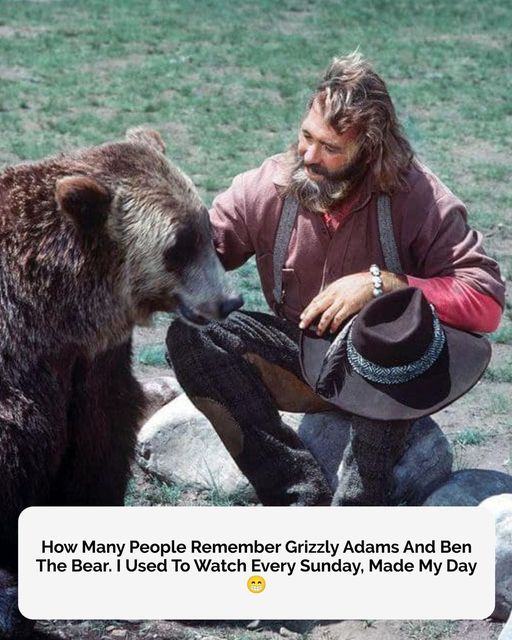 How Many People Remember Grizzly Adams And Ben The Bear. I Used To Watch Every Sunday, Made My Day .