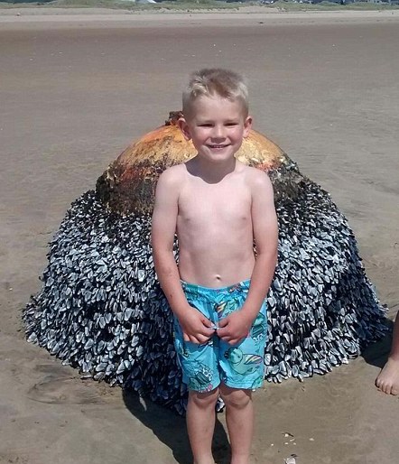 Dad Shares Innocent Photo Of His Son At Beach, Authorities Act Fast After Spotting Small Detail.