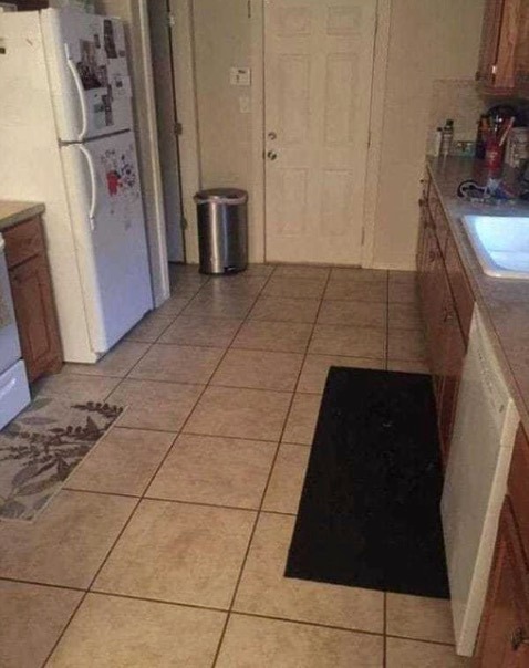 There’s a big dog hiding in this kitchen, but only a few can find it…