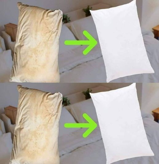 Here’s how to clean dirty bed pillows to leave them white and smelling sweet. 😊 👌