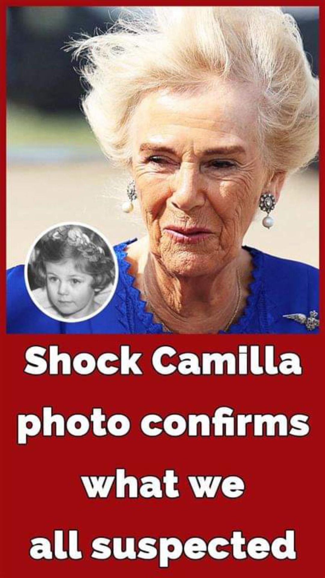 Queen Camilla’s wealthy childhood: Pre-royal pictures speak volumes