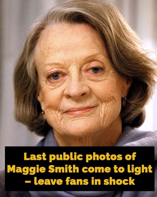 Rest In Peace to the legend Dame Maggie Smith, who passed away just now at 89 years old. 💔😭 the pictures from her last public appearance have come to light and left fans shocked…