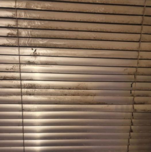 How do I remove and clean all the dust stuck on these blinds?