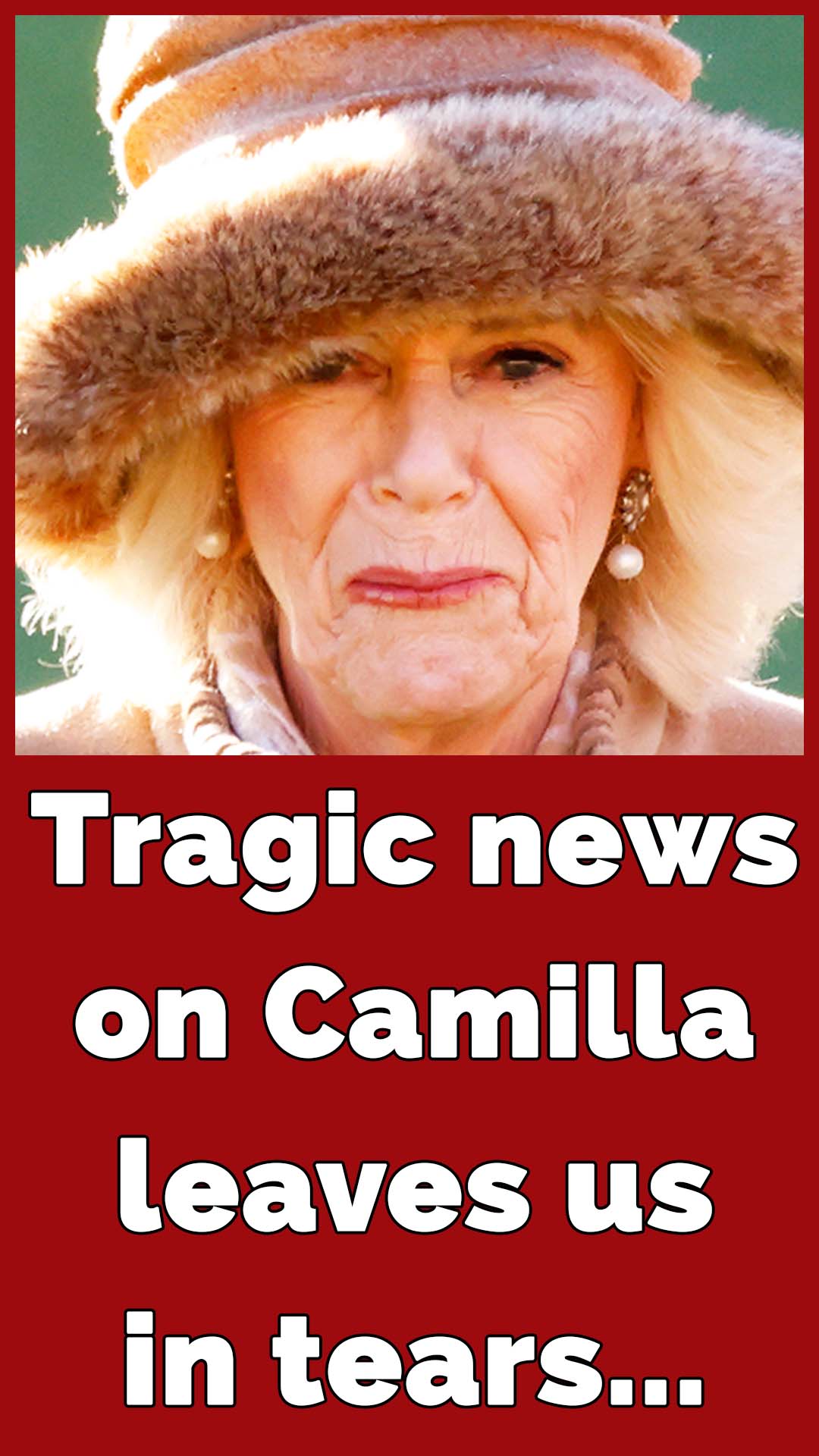 Camilla was afraid of going out shopping and ‘hid in her house’ when affair with Charles was made public, expert claims.