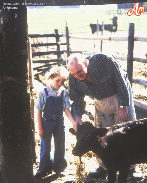 I inherited my grandpa’s farm and planned to sell it—until I discovered an old wall. Just as I was about to sign with buyers, something about that wall changed everything, sparking questions that made me reconsider.