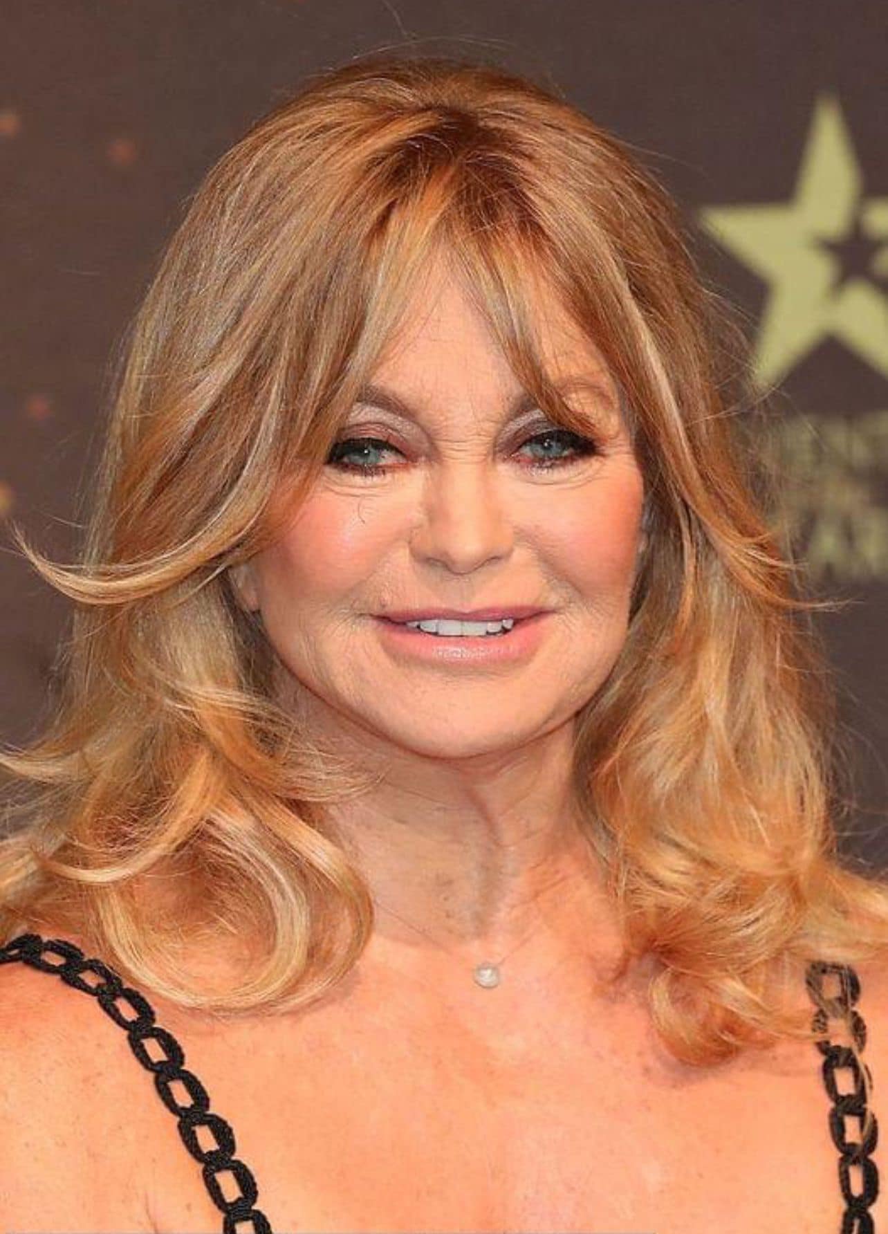 Goldie Hawn’s No-Makeup Photo Shocked Fans 😲 check comments for photo if you want to see it!