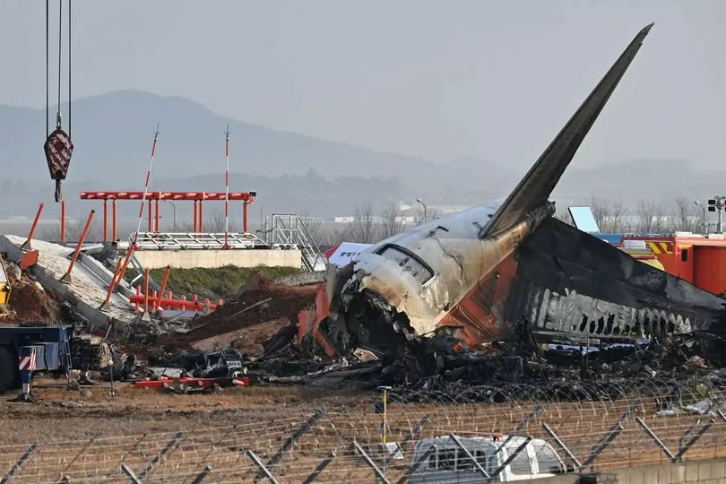 Bird Feathers and Blood Stains Found in Engines of South Korean Plane That Crashed into Wall, Killing 179 Check the comments…👇 👇 👇