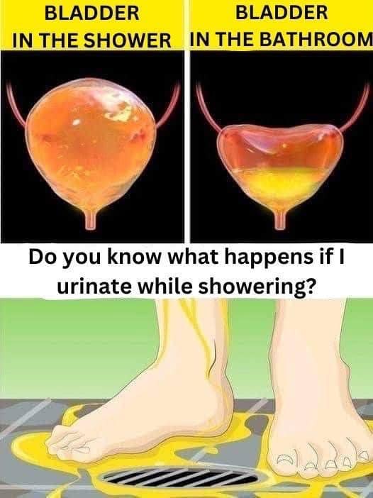 If you urinate in the shower, be careful, you should know that… See more below !