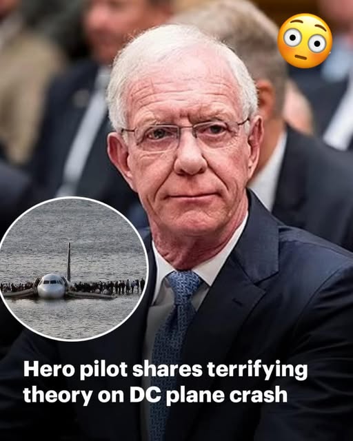 Captain Sully, who famously landed a passenger plane on the Hudson River has shared a chilling theory. 😳😳👇