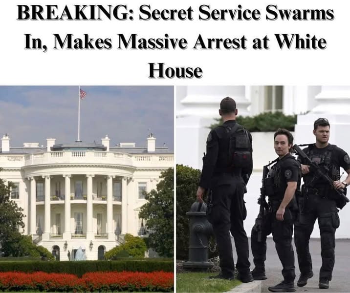 Secret Service Swarm As Man Climbs Over White House Fence