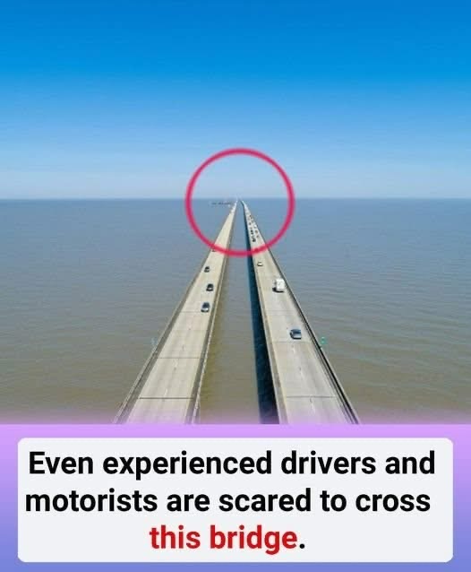 Even experienced drivers and motorists are scared to cross this bridge. 🙄😲 Check the comment 👇