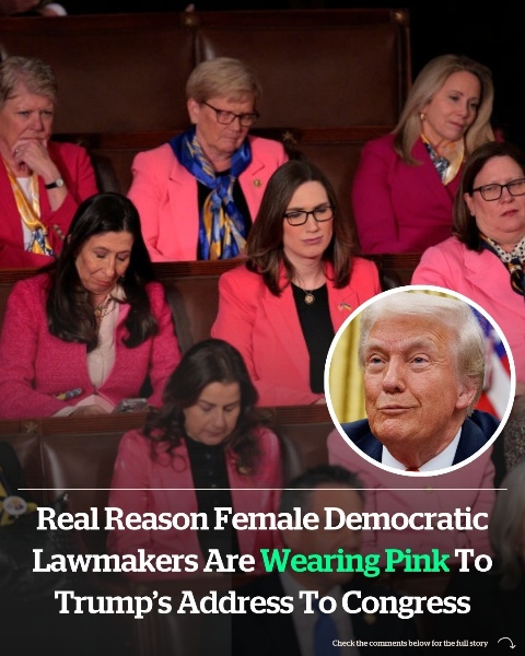 Real reason female Democratic lawmakers are wearing pink to Trump’s address to Congress