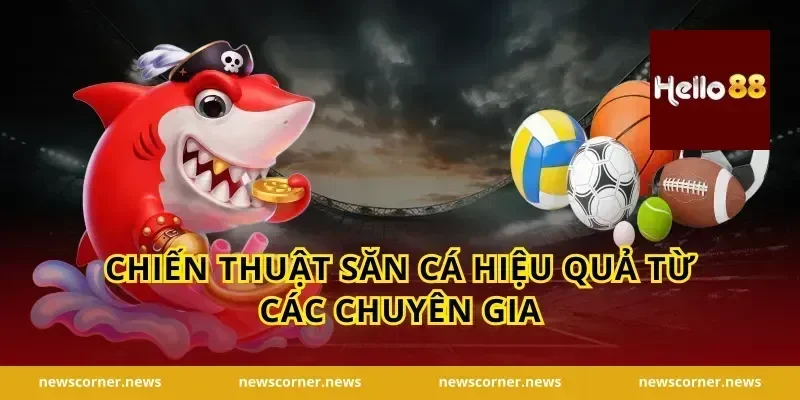Chiến thuật săn cá hiệu quả từ các chuyên gia
